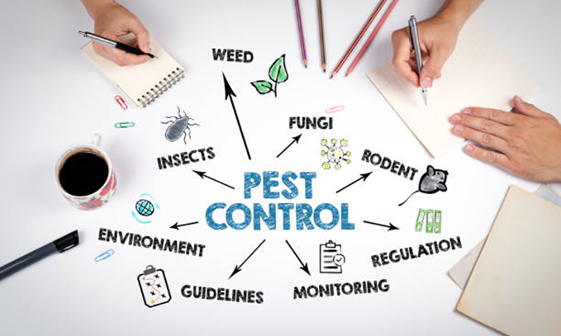 Our Blog - Pest Control Bintulu, Sibu, Miri, Kuching, Sarawak